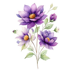 Obraz premium Watercolor painting showcases three purple dahlia flowers in full bloom.