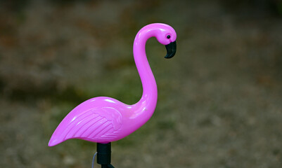 plastic pink flamingo bird , decorative element in a garden