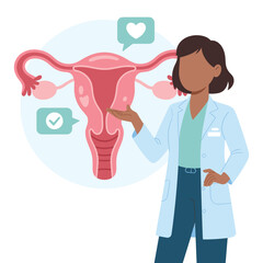 Obraz premium Gynecologist Explaining Female Reproductive System