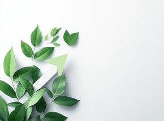 green arrows made of leaves on white background, eco concept for growth and sustainability