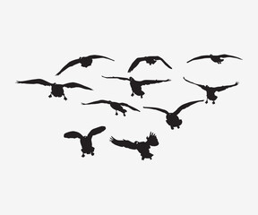 colletion of flying geese silhouette vector illustration art