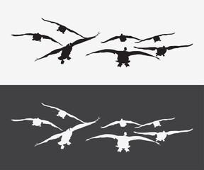 colletion of flying geese silhouette vector illustration art