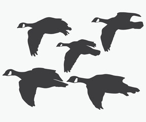 colletion of flying geese silhouette vector illustration art
