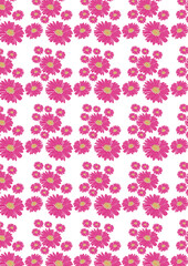 seamless pattern with pink roses, transparent 