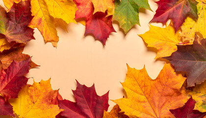 Obraz premium an arrangement of autumn leaves with varying shades of yellow and brown