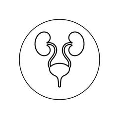 Human Urinary System Silhouette Vector Icon Black and White Medical Design.