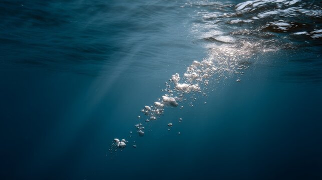 Fototapeta Sunlight filters through the clear ocean water, illuminating a trail of rising bubbles, creating an ethereal underwater scene.