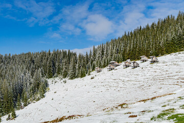 Snow-covered mountain slope in spring in the Carpathians with houses and forest in the background