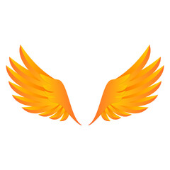 wings