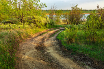 A dirt country road curves in the countryside surrounded by green grass, bushes and trees. Sunny day