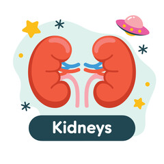 Fototapeta premium Cartoon Kidneys Illustration for Educational Purposes