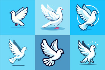 collection of white dove