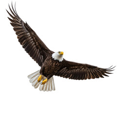 Majestic bald eagle soaring through the sky with wings spread against a white background