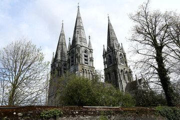 Fototapeta premium Cathédrale Saint Fin Barre à Cork en Irlande