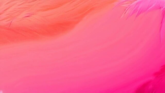 Pink background with pink feathers. The feathers are in different sizes and are scattered all over the background