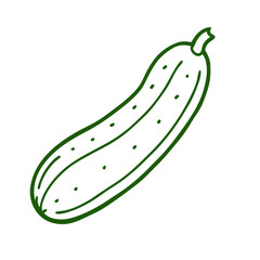 Sketch Illustration Of Vegetable