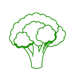 Sketch Illustration Of Vegetable