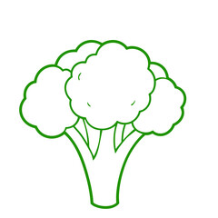 Sketch Illustration Of Vegetable