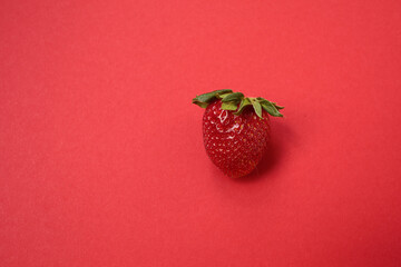 One red strawberry on a red background. Summer bright background. Berry.