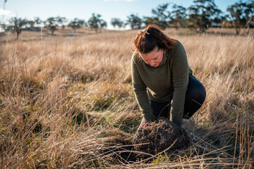 female farmer testing soil on a farm. agronomist checking plant crop health and soil science on a...