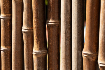 High-resolution image of a bamboo fence, perfect for backgrounds or textures.  Natural, organic feel.