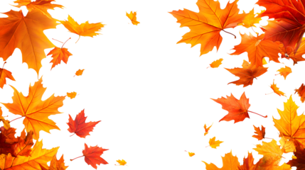 A white background with a large number of orange leaves scattered around it