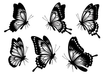 Obraz premium Elegant Monochrome Butterfly Collection: Vector Art
