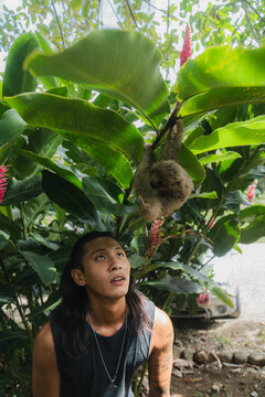 Costa Rica, Wildlife