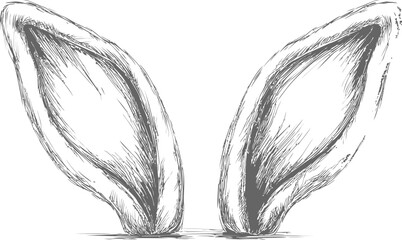 Obraz premium Hand-drawn sketch of large animal ears with detailed fur texture. Vector illustration