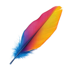 A colorful feather art on transparent background