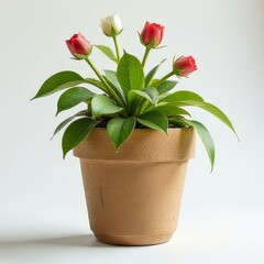 Symbol of nature conservation. Ecology logo. Protection of nature and animals, fight against pollution of the planet. Recycling. Ecologically clean environment.