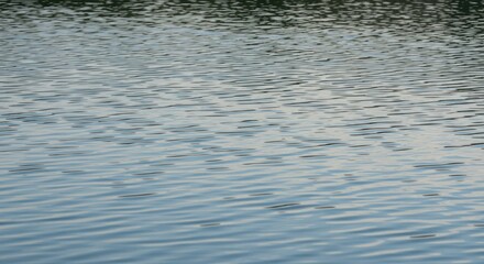 Fototapeta premium Gray gradient texture background