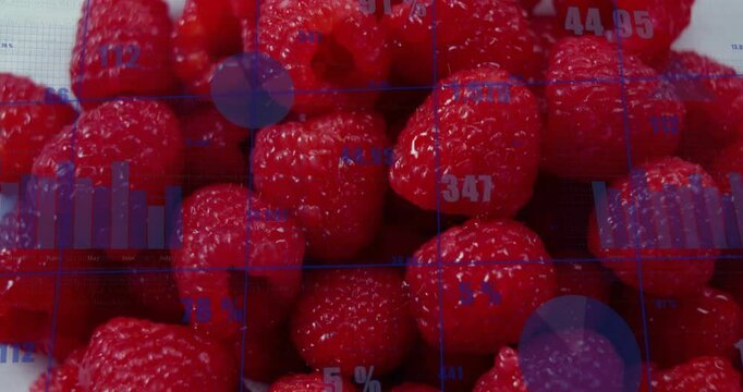 Cluster of red raspberries glowing under blue grid lines, displaying pie segments and numeric bars
