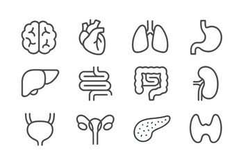 Collection of medical web icons representing human organs and their functions, ideal for health-related websites and applications