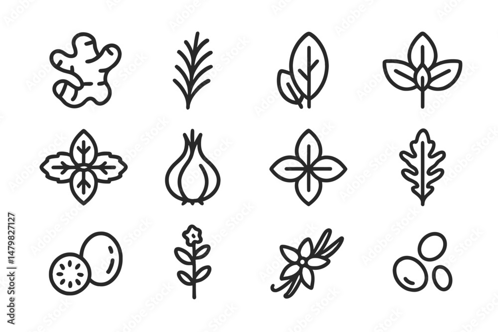 Fototapete Collection of web icons featuring various herbs and botanical elements displayed in a minimalist style for use in digital projects