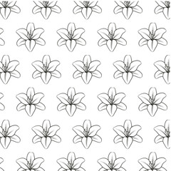 Lily flower Seamless Pattern Hand drawn vector line art, Black and white Flower isolated in white.  Beautiful design for textile, wallpaper, wrapping paper and backgrounds