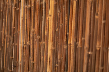 Textured background of brown bamboo poles. Perfect for nature, zen, or Asian-themed designs.