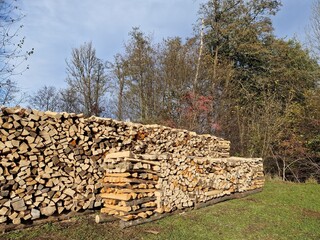 Stapel Brennholz vor einem Wald