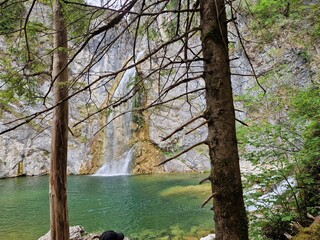 Wasserfall hinter Bäumen mit Gebirgssee