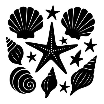 Set of different black sea shells and starfish vector illustration. Seashells and Starfish Vector Collection &ndash; Black and White Nautical Marine Life Silhouettes for Beach and Ocean Design.