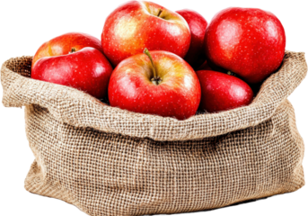 Fresh Red Apples in Burlap Bag