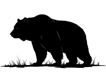 Fototapeta premium Majestic Bear Silhouette: Strength in Shadow