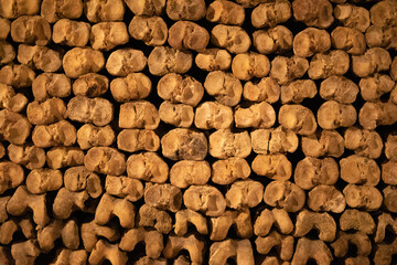 High-resolution image of stacked bones, perfect for backgrounds or textures.  Great for design projects.