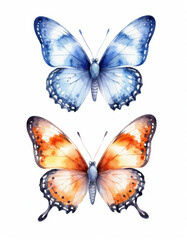 Obraz premium Two butterflies perched on each other, possibly mating or resting