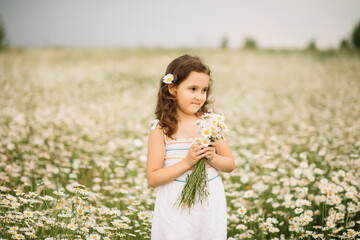 Cute little happy child girl at chamomile field picking flowers