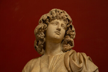 Obraz premium Close-up of a classical marble bust, showcasing intricate details and serene expression. Ideal for history, art, and culture projects.