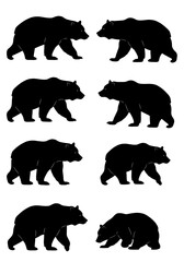 Elegant Black Bear Silhouettes: Walking Gait Variations