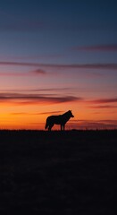 Lone Wolf Silhouette at Sunset: Fiery Sky Majesty