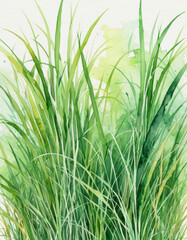 Watercolor illustration of lush green grass with no additional objects