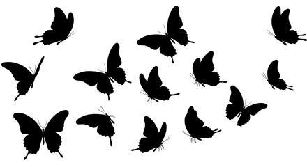 Naklejka premium Silhouette Butterflies: A Dance of Black Wings